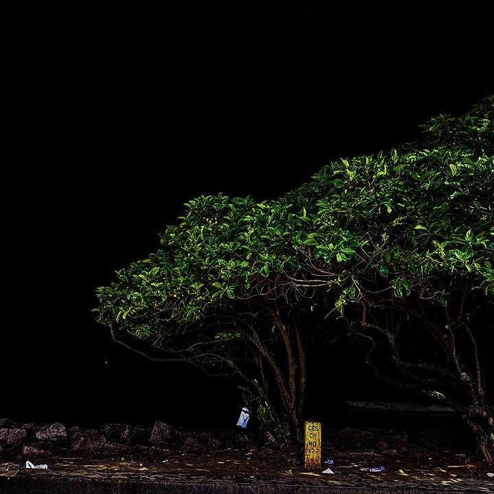 Stock edited image from iPhone 15 Pro Max at night.