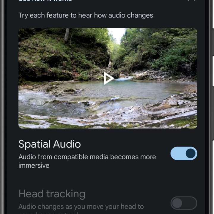 Google Pixel Buds app for Android: spatial audio.