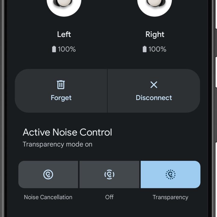 Google Pixel Buds app for Android: Home screen.