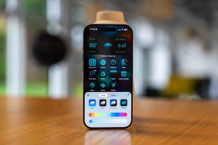 iOS 18 homescreen tint options on the iPhone 16 Pro