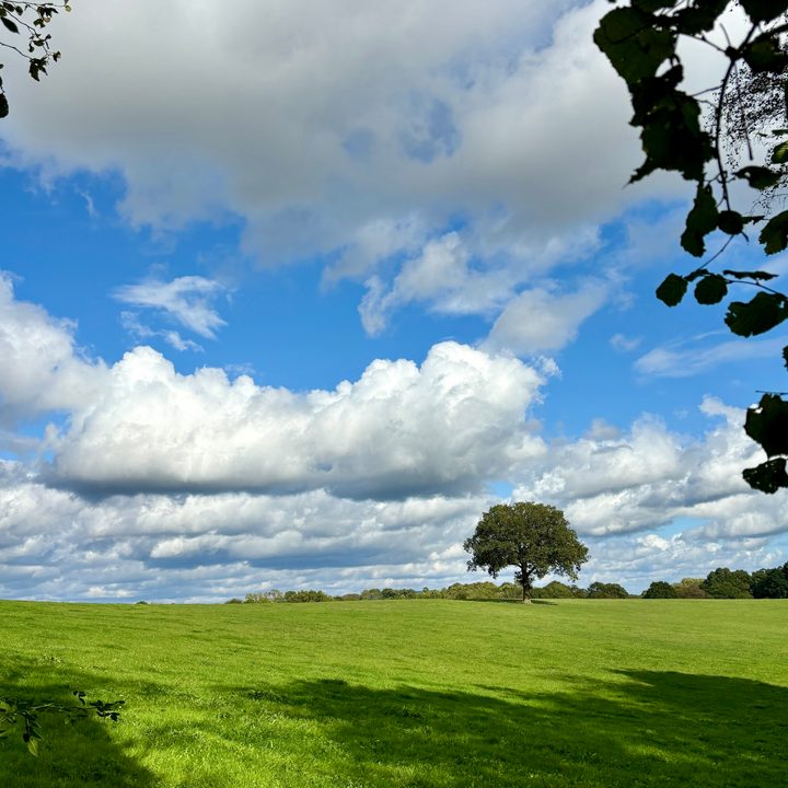 A photo taken with the Apple iPhone 15 Pro Max.