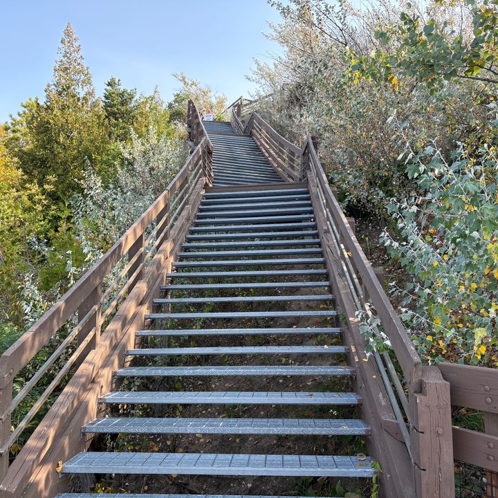 A photo of a staircase at an outdoor lookout point, taken with the iPhone 16.