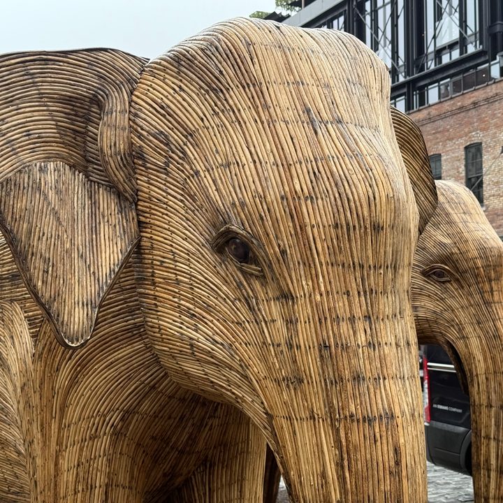 A close-up photo of an elephant structure, taken with the iPhone 16 Pro.