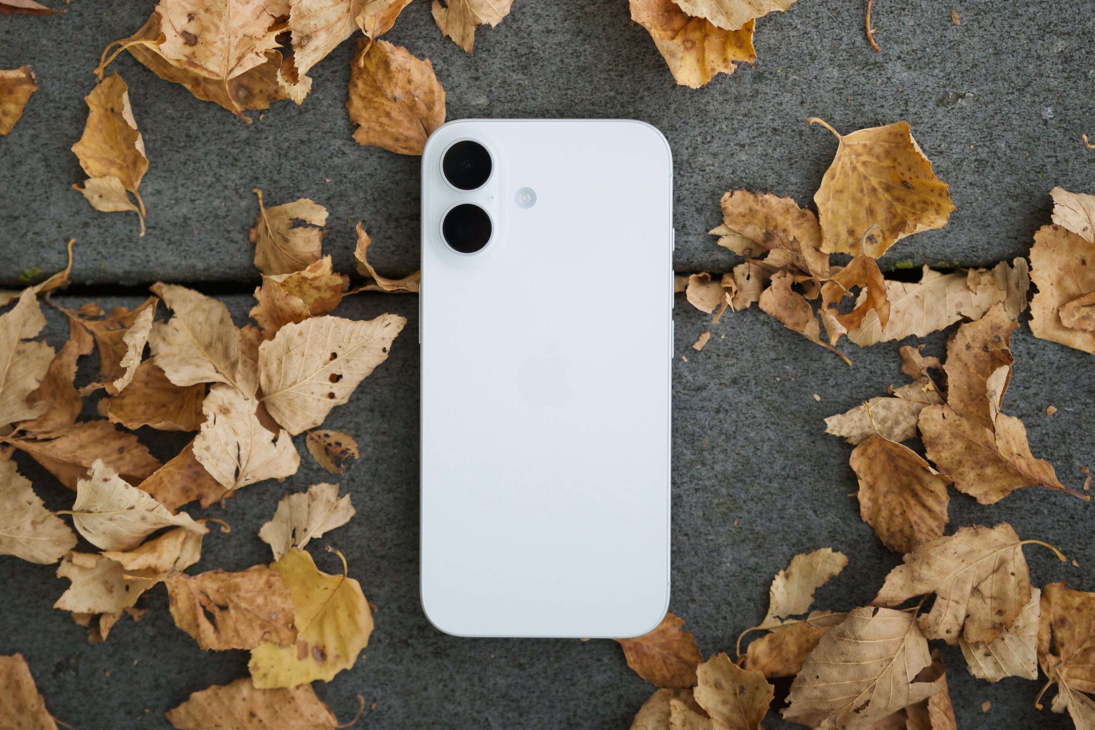 Apple iPhone 16 vs. iPhone 13: Should you upgrade? - Digital Trends