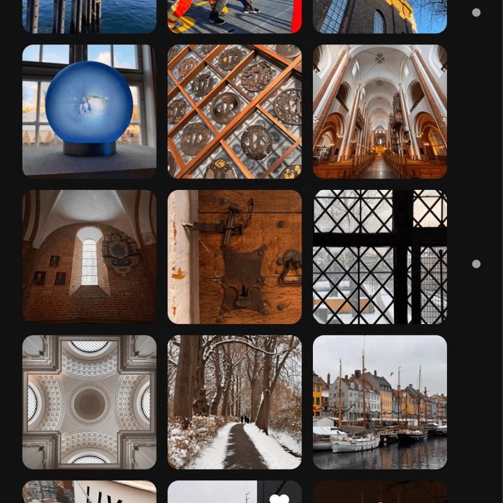 Plex Photos mobile app.