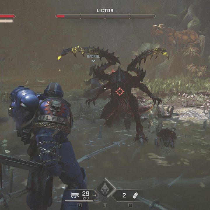 The image shows the player going toe-to-toe against a Lictor.