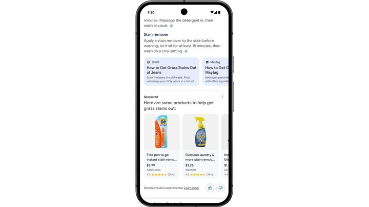 The AI Overview screen with Ads on mobile.