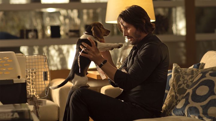 Keanu Reeves holds a puppy in John Wick.
