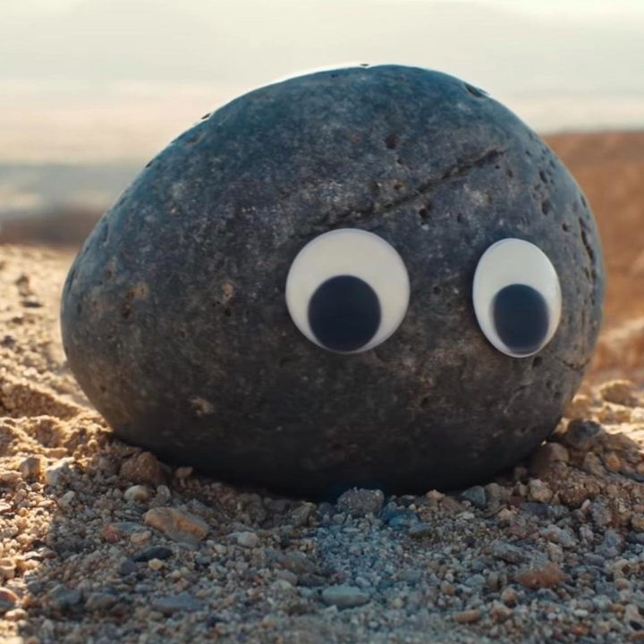 A rock with googly eyes from Everything Everywhere All at Once.