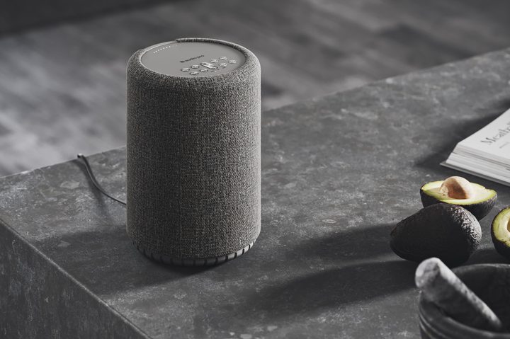 Audio Pro A10 MK II Wiim Edition wireless speaker.