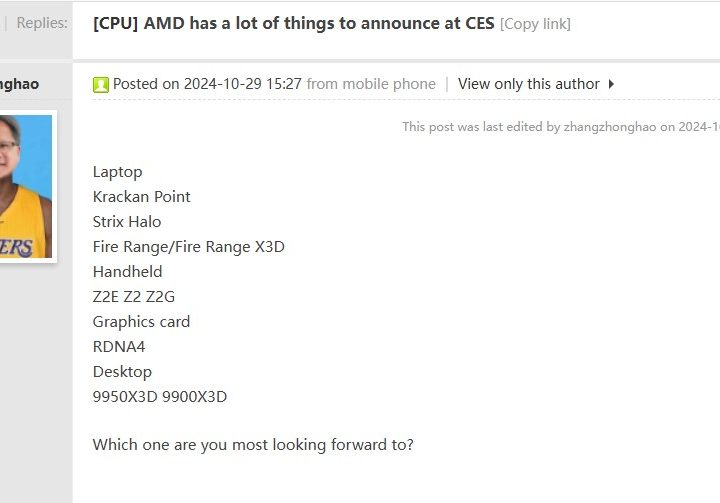A forum post describing upcoming AMD releases.