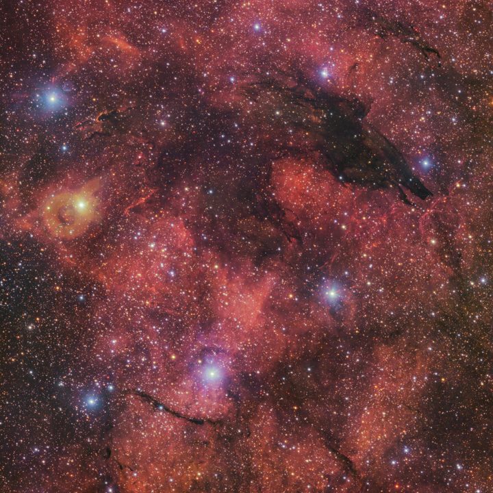 Fittingly nicknamed the Dark Wolf Nebula, this cosmic cloud was captured in a 283-million-pixel image by the VLT Survey Telescope (VST) at ESO’s Paranal Observatory in Chile. Located around 5300 light-years from Earth, the cold clouds of cosmic dust create the illusion of a wolf-like silhouette against a colourful backdrop of glowing gas clouds.