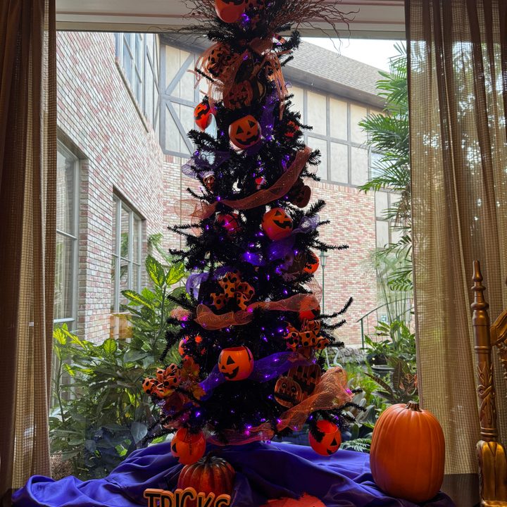 Halloween tree taken with iPhone 15 Pro.