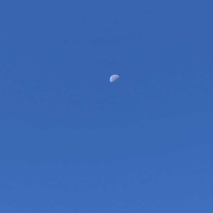 Day time moon 5x taken with iPhone 15 Pro.