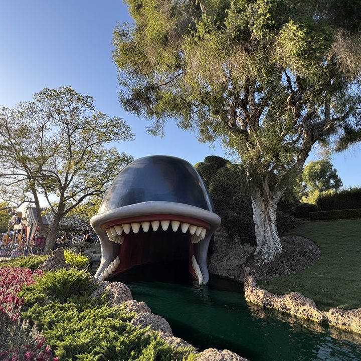 Monstro taken with iPhone 15 Pro.