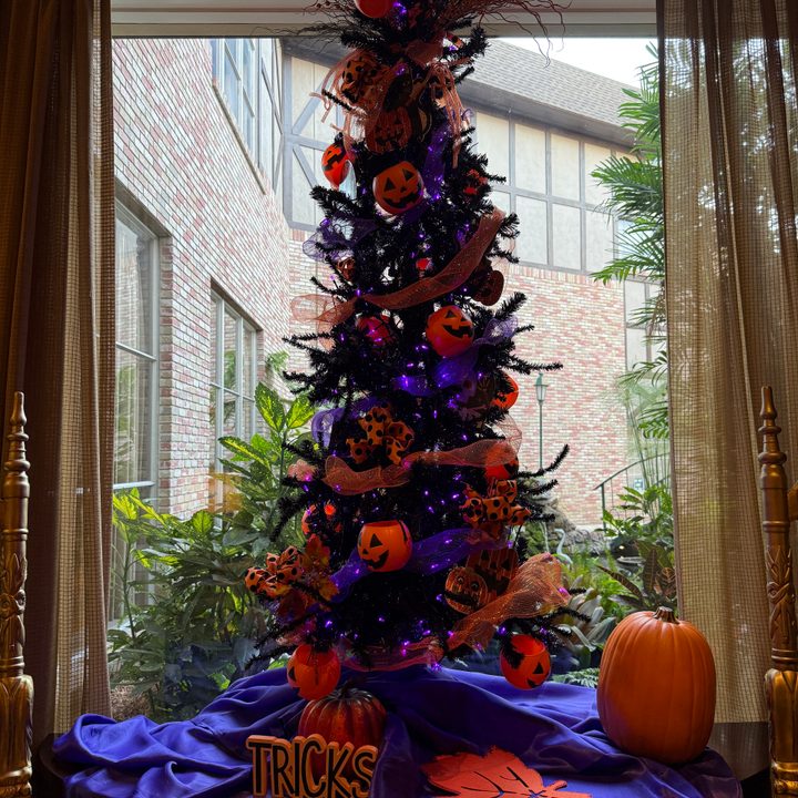 Halloween tree taken with iPhone 16 Pro.