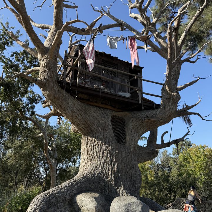 Treehouse taken with iPhone 16 Pro Max.
