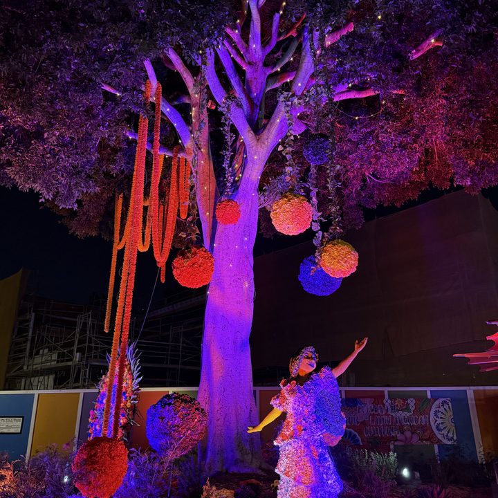 Isabella night time display taken with iPhone 16 Pro Max.