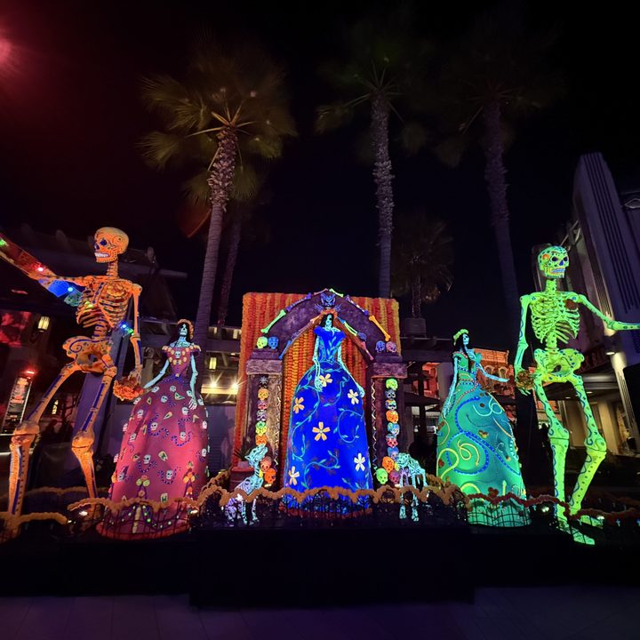 Skeleton display taken with iPhone 16 Pro Max.