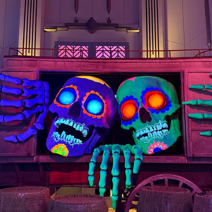 Skeleton display taken with iPhone 16 Pro Max.