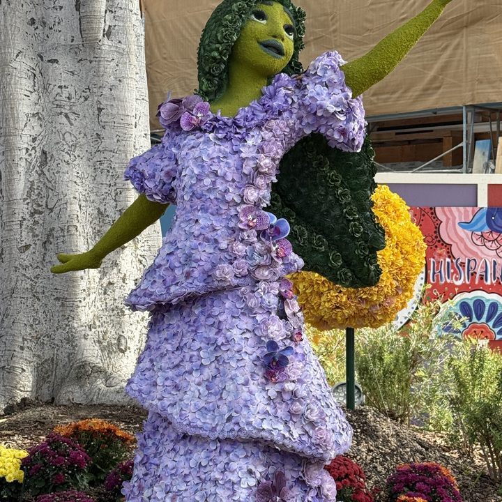 Isabella flower display taken with iPhone 16 Pro Max.