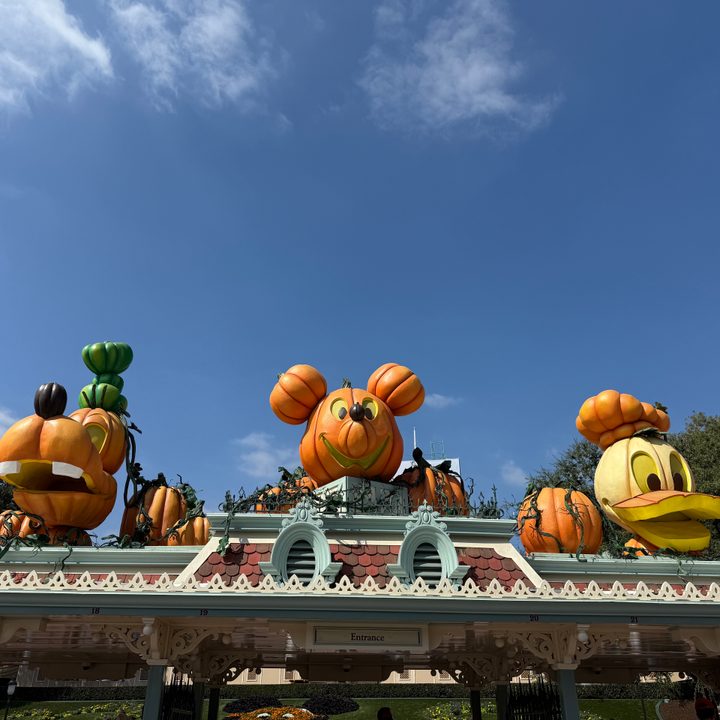 Pumpkin display at Disneyland entrance gate taken with iPhone 16 Pro Max.