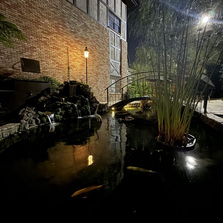 Koi pond garden taken with iPhone 16 Pro.