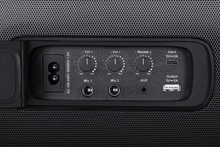 The karaoke inputs on the back of the Tribit StormBox Blast 2.