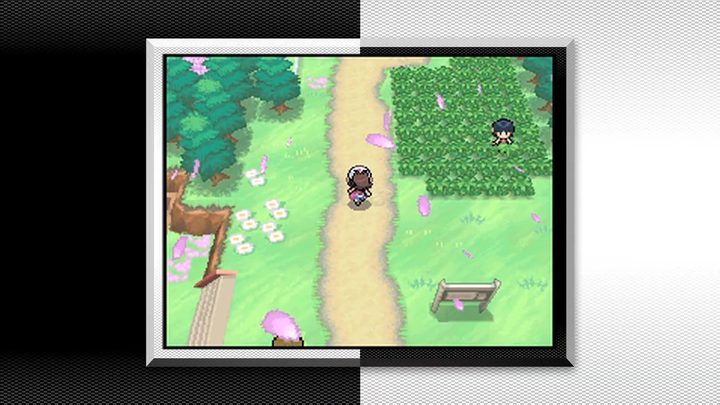 A Pokemon Trainer runs through a route in Pokemon Black and White.