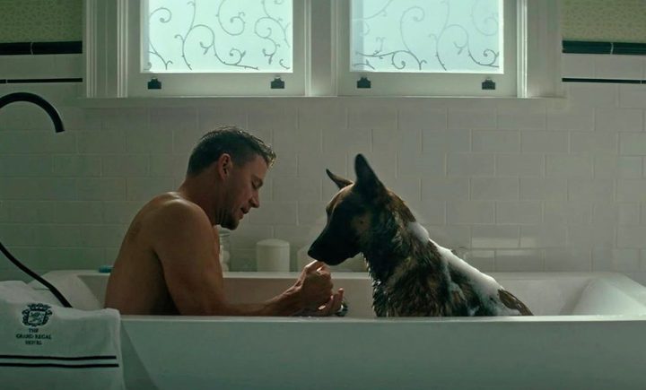 A man and a dog sit in a bath tub.