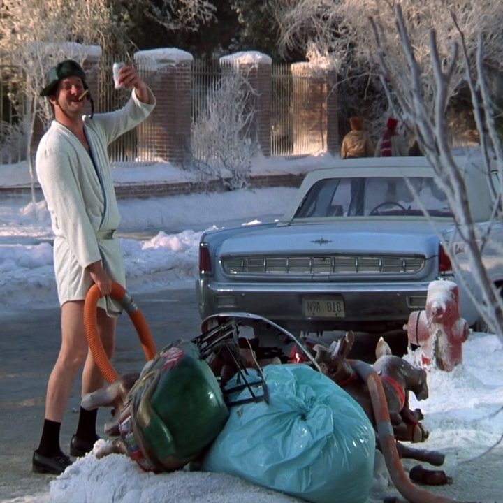 Clark's brother in Christmas Vacation