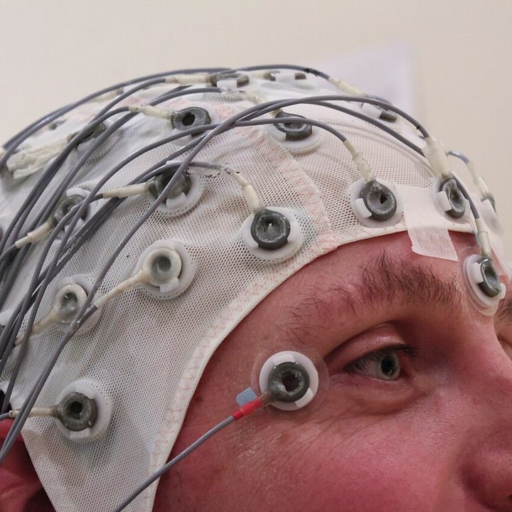 an EEG cap