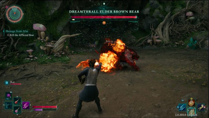 The third-person perspective Grimoire in Avowed