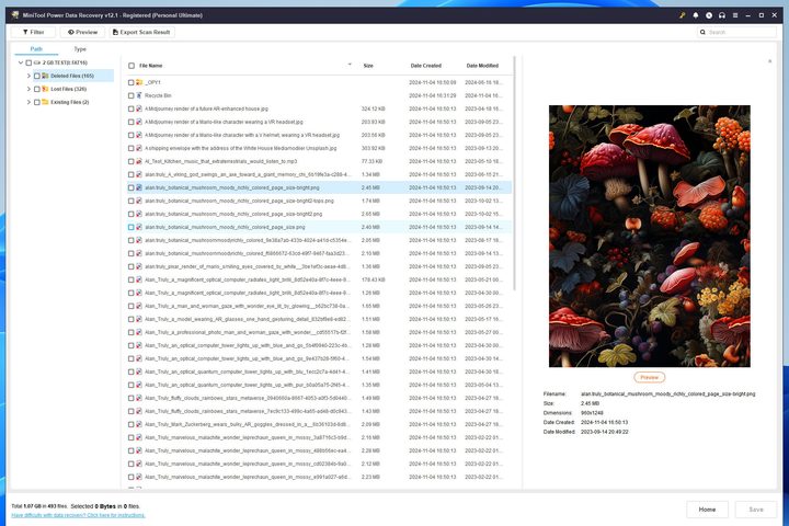 MiniTool Power Data Recovery shows an accurate preview of what can be restored.