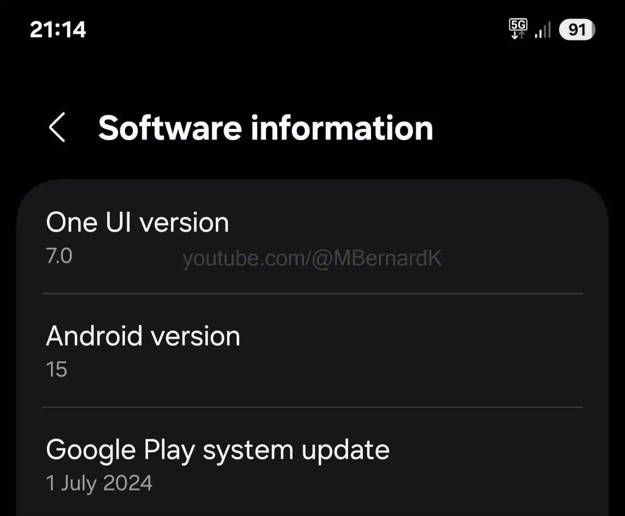 A screenshot showing Galaxy S25 Ultra software information.