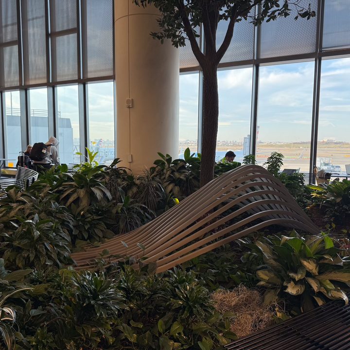 photo of a small garden in LaGuardia airport captured on the iPhone 16 Pro.