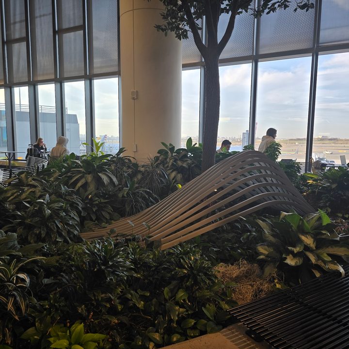 photo of a small garden in LaGuardia airport captured on the Galaxy S24 Ultra.