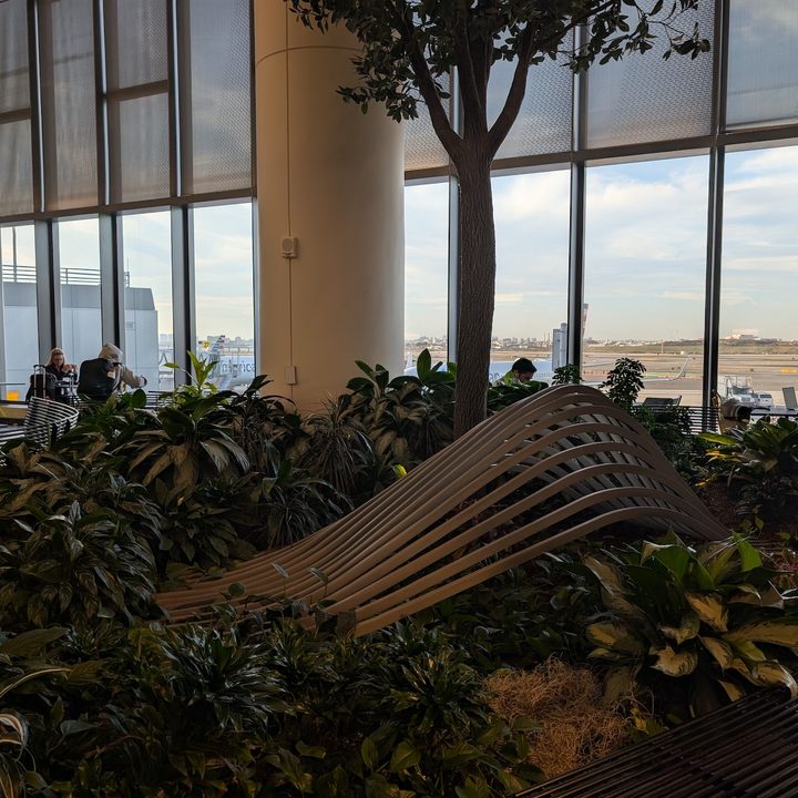 photo of a small garden in LaGuardia airport captured on the Pixel 9 Pro.