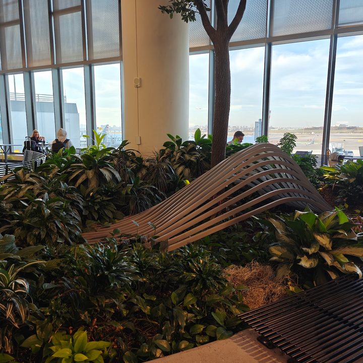 photo of a small garden in LaGuardia airport captured on the OnePlus 12.
