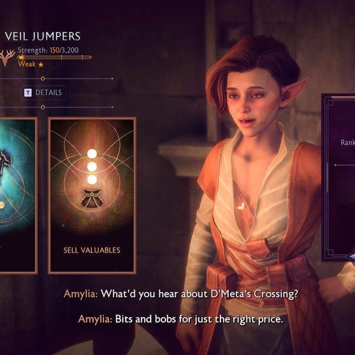 Trading with a Faction merchant in Dragon Age: The Veilguard.