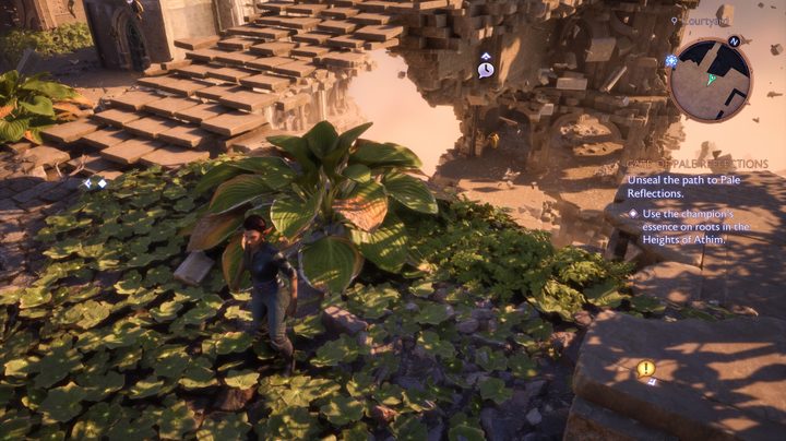 Rook stands near foliage in Dragon Age: The Veilguard.
