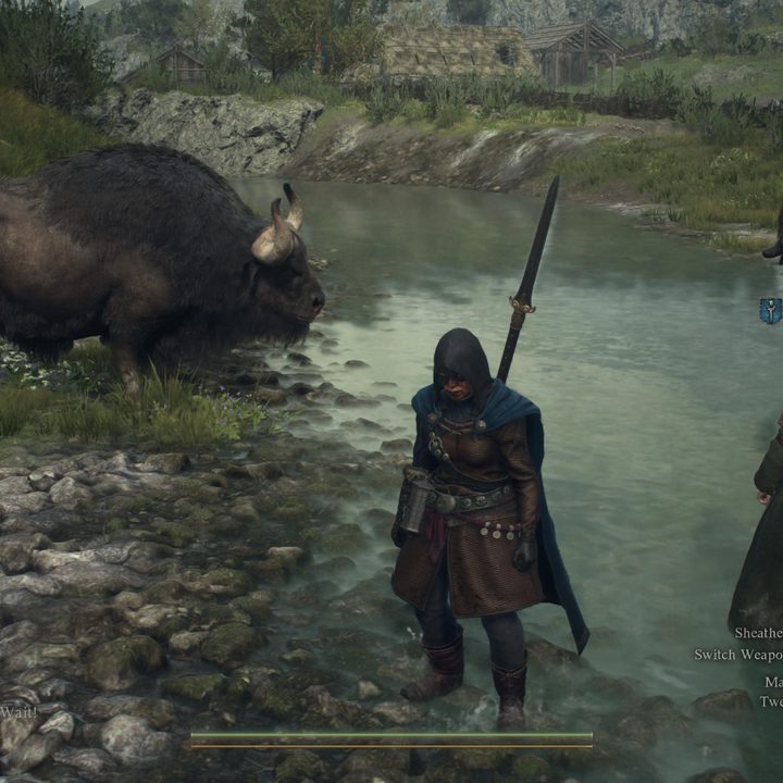 A Dragon's Dogma 2 character stands in a river as the game runs on PS5 Pro.
