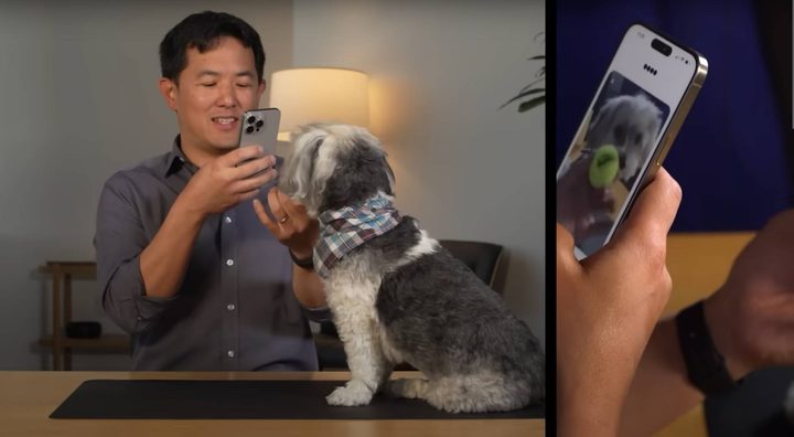 ChatGPT meets a dog