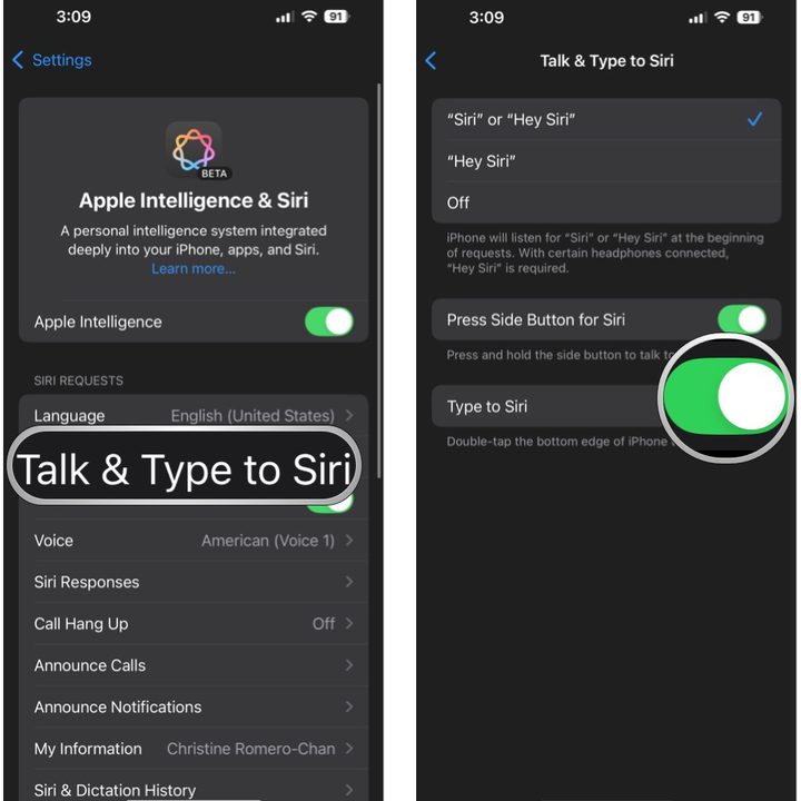 Select Talk and Type to Siri, make sure the toggle is ON.