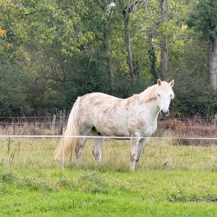 A photo taken with the Apple iPhone 16 Pro Max's 10x zoom.