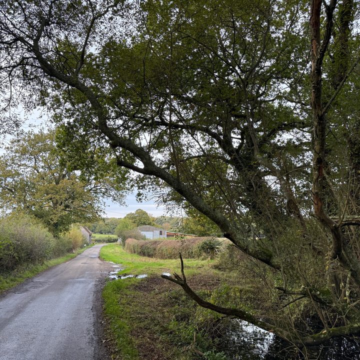 A photo taken with the Apple iPhone 16 Pro Max's main camera.