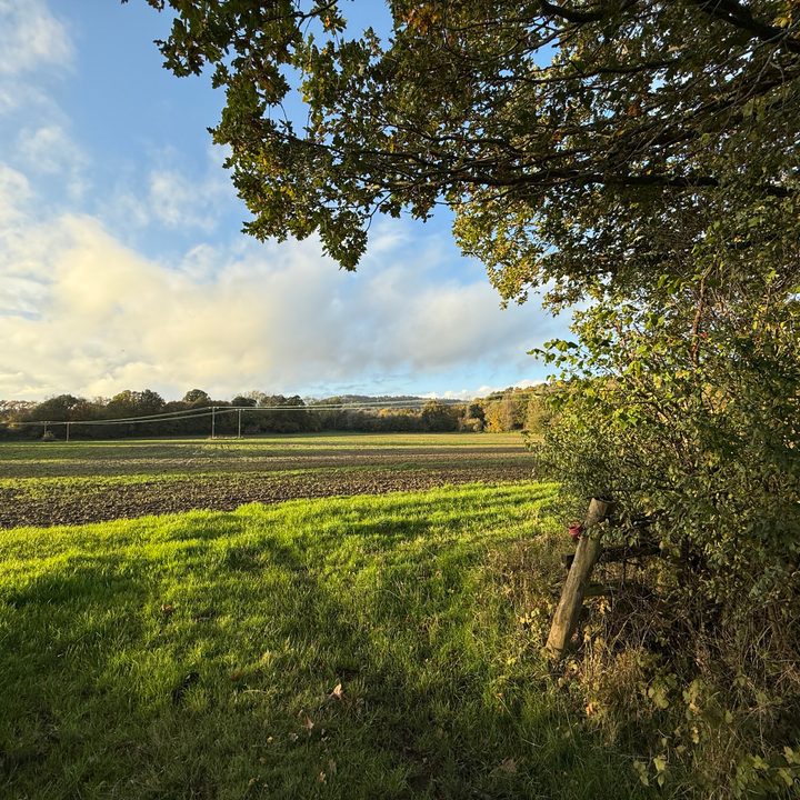 A photo taken with the Apple iPhone 16 Pro Max's wide-angle camera.