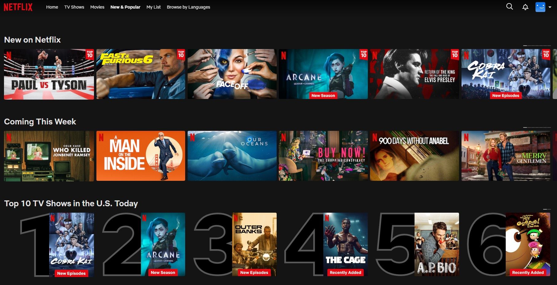 The Netflix New & Popular tab in November 2024.