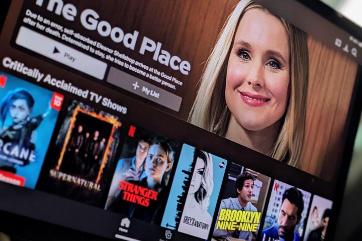 The Netflix TV show category on iOS.