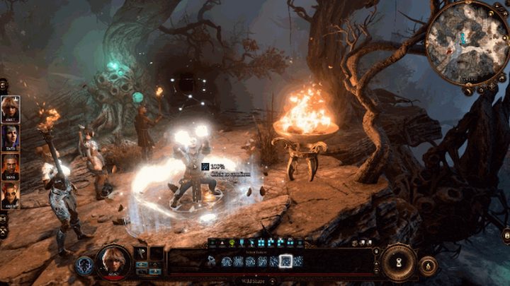 Circle of Stars Druid wildshaping in Baldur's Gate 3.